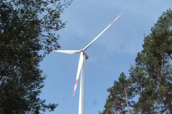 Windturbine in pine forest in Brandenburg, Germany.