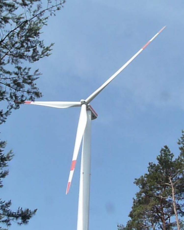 Windturbine in pine forest in Brandenburg, Germany.