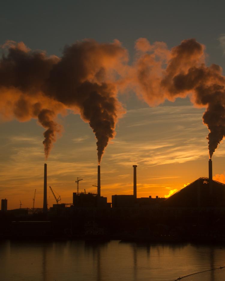 Image by wirestock on Freepik